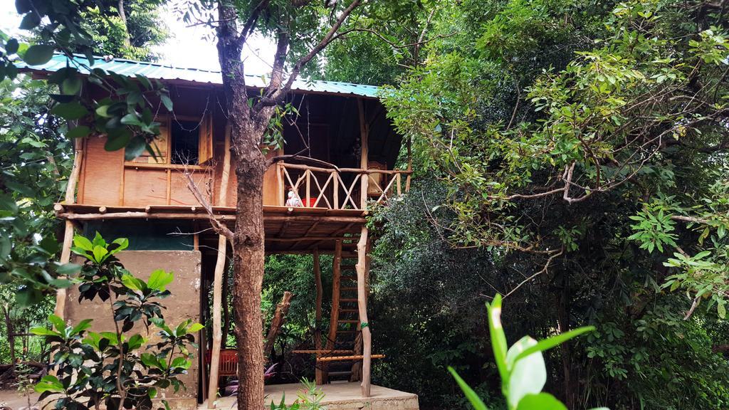 Cabane dans les Arbres – Vue sur Rivière