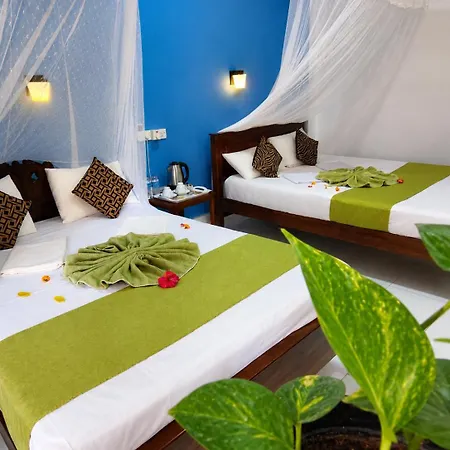 Sigiri Lion Lodge-3